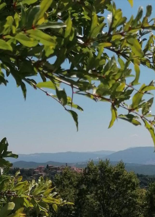 Beautiful Apartment With Exclusive Garden And Terrace Monteverdi Marittimo Exteriér fotografie